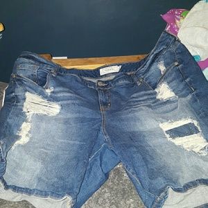Torrid Bermuda shorts